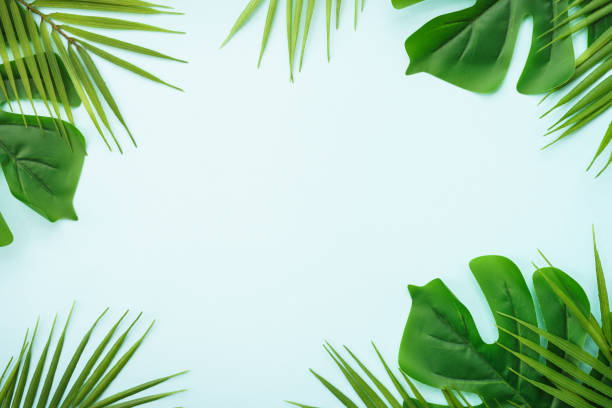 istock Tropical leaves, palm leaves and monstera on blue background. 1929554623