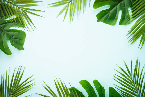 istock Tropical leaves, palm leaves and monstera on blue background. 1929556754