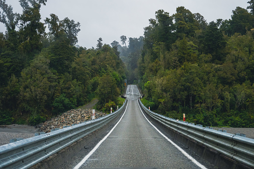 Journey through the lush temperate rainforest of New Zealand, crossing a tranquil country road bridge in this captivating natural landscape.