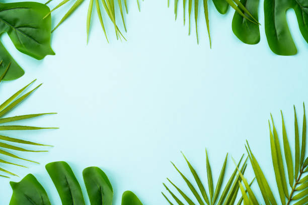 istock Palm leaves on blue background. 1929563643