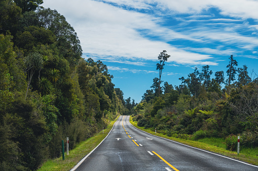 Tranquil country road through the lush temperate rainforest of New Zealand. Captivating natural landscape.
