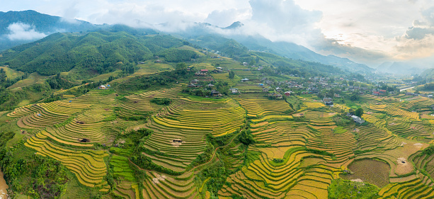 This landscape photo was taken, in Asia, in Vietnam, in Tonkin, in Sapa, towards Lao Cai, in summer. We see the traditional village with its green and yellow rice fields in the green mountains, under the clouds.