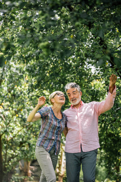istock Senior couple relaxing in garden 1929577360