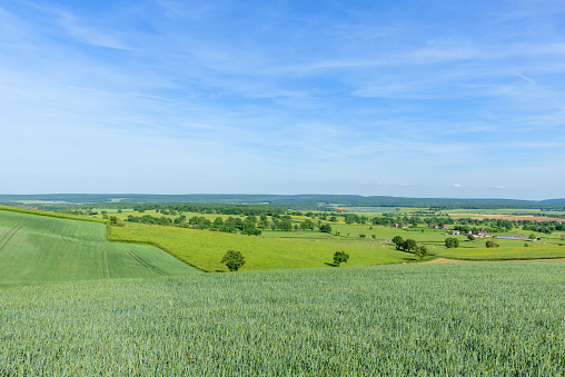 This landscape photo was taken in Europe, in France, in Burgundy, in Nievre, towards Clamecy, in Spring. We see the wheat fields in the countryside, under the sun.