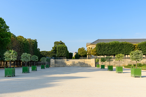 This landscape photo was taken, in Europe, in France, in ile de France, in Paris, in summer. We can see the Allée du Jardin des Tuileries, under the Sun.