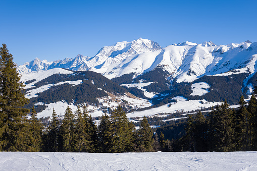 This landscape photo was taken in Europe, in France, Rhone Alpes, in Savoie, in the Alps, in winter. You can see the Mont Blanc massif and its pine forests, under the sun.