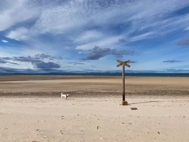Old rusty sign and lonely dog on the empty Findhorn beach, Scotland