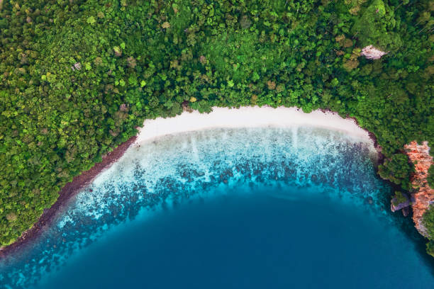 istock Koh Phi Phi Don Thailand, Drone aerial view of Koh Phi Phi Thailand on a beautiful summer day 1929650611