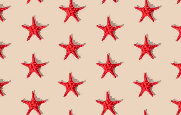 istock Summer pattern composition made with red starfish on sandy color background. Minimal summer concept. Creative sea star flat lay pattern idea. Top of view. 1929662873
