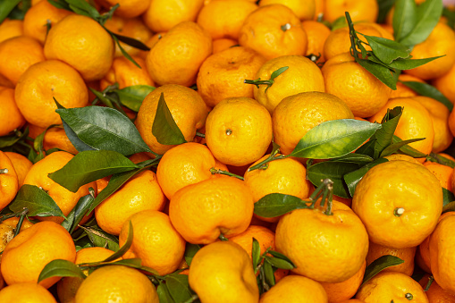 Orange fruits wooden crate box in harvest with orange tree leaves freshly harvested in mediterranean area.