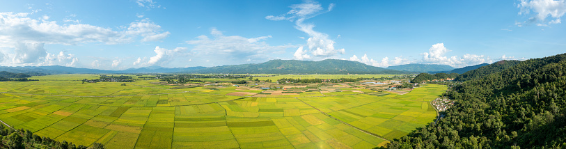 This landscape photo was taken, in Asia, in Vietnam, in Tonkin, in Dien Bien Phu, in summer. We see the panorama of the valley with its green and yellow rice fields in the middle of the mountains, under the Sun.