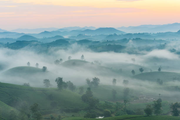 istock Sunrise on Long Coc tea hill, Phu Tho province, Vietnam. 1929685900