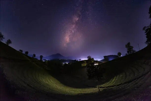 Night on Long Coc tea hill with milkyway, Phu Tho province, Vietnam.