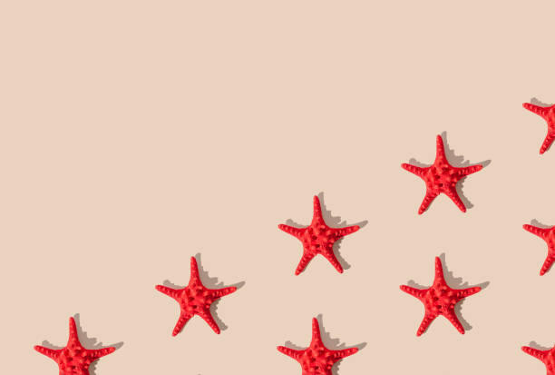 istock Summer pattern composition made with red starfish on sandy color background. Minimal summer concept. Creative sea star flat lay pattern idea. Top of view. Copy space. 1929708114