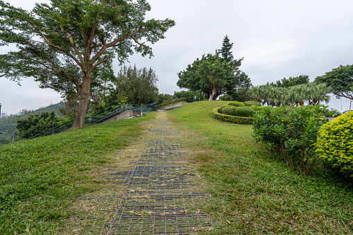 Grassland and trees in urban park