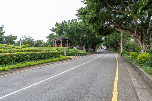Asphalt road, green areas, and roadside trees