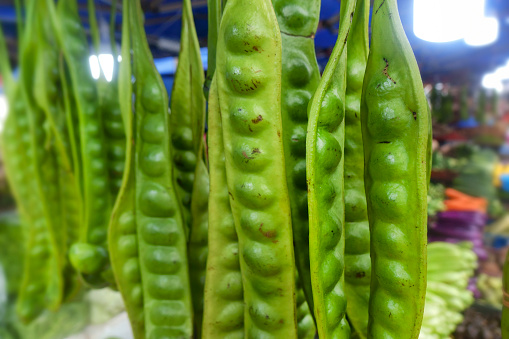 Bitter beans, Parkia speciosa bean, at farmer's market in Kuala Lumpur