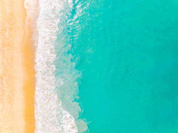 istock Top view beach with waves crashing on sandy shore,Beautiful waves sea surface in summer seascape background,Amazing beach colorful water background 1929751927