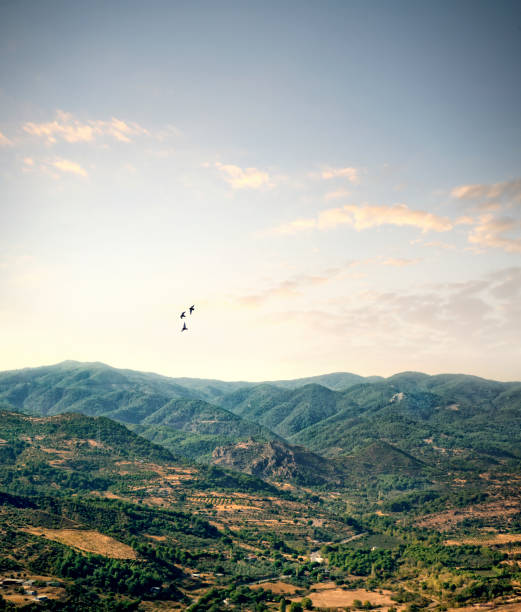 Green mountains during sunrise over sunny sky