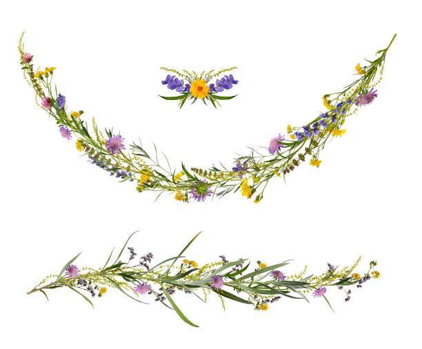 Set of floral elements for collage or design, cards, wedding decor and invitations.