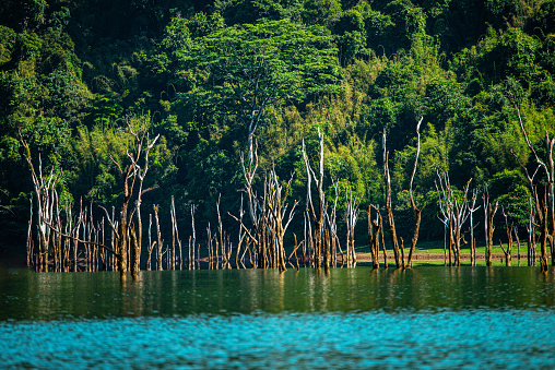 Khao Sok National Park, Surat Thani, 
Landscape Mountains with longtail boat for travelers, Cheow Lan lake, Ratchaphapha dam, Travel nature in Thailand, Asia summer  vacation travel trip.