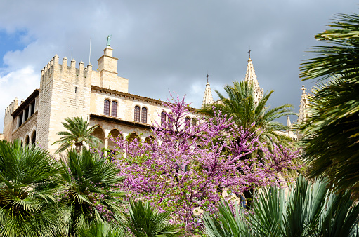 An image of the stunning Palma Cathedral in Mallorca, a masterpiece of Gothic architecture dominating the city's skyline. Its imposing structure and intricate design details, set against the backdrop of the Mediterranean Sea, highlight the cultural and historical significance of this iconic landmark on the Balearic island.