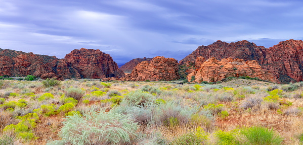 Red rock hills in Snow Canyon State Park near St. George, Utah