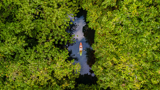 couple in a kayak in the jungle of Krabi Thailand, men and women in a kayak in a tropical jungle in Krabi mangrove forest in Thailand , kayak in magrove