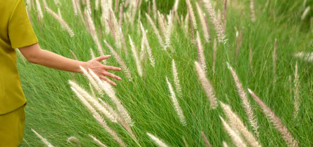 Young woman and shiny tropical field in Bangkok