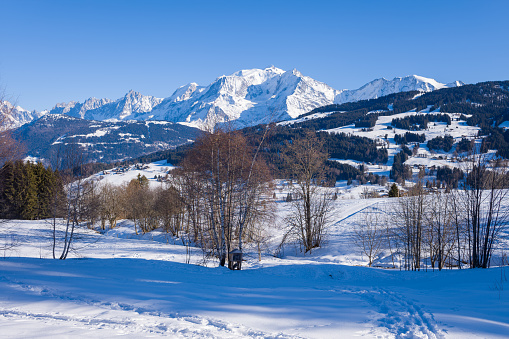 This landscape photo was taken in Europe, in France, Rhone Alpes, in Savoie, in the Alps, in winter. We see the trees in the middle of the Mont Blanc massif, under the Sun.
