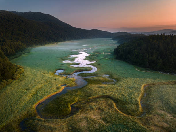 Aerial view of river flowing in the countryside at sunrise.