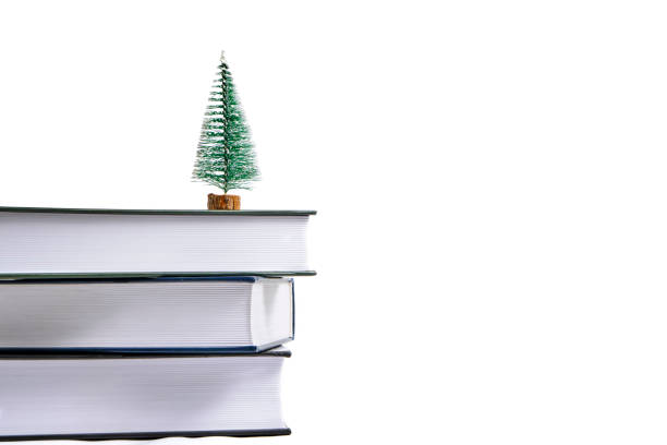 istock Small Christmas tree on stack of books white background. 1929851515