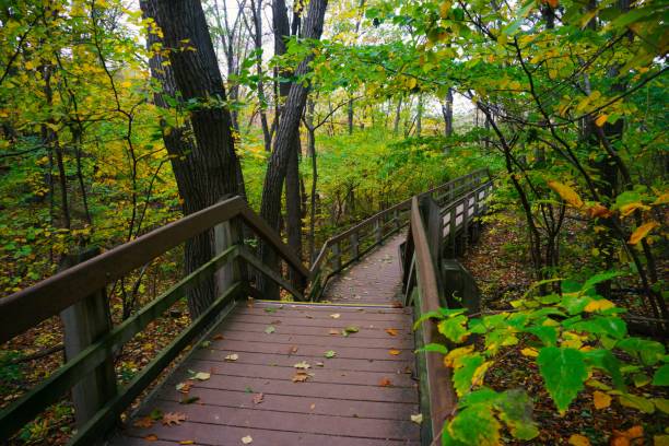 istock 202210 Indiana Dunes NP IN 1929851523