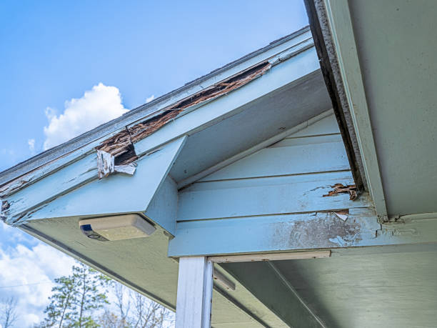 istock Mold, Decay and Dry Rot on Distressed roofline 1929861751