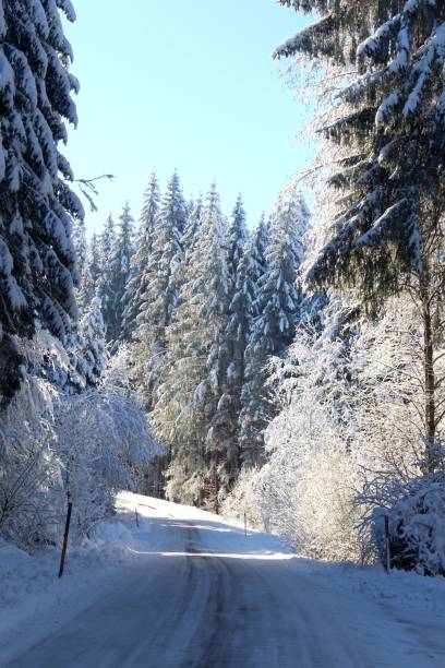 istock Winding, snow-covered, icy road through the forest. Snow-covered trees, cloudless blue sky. An idyllic winter dream. 1929872096