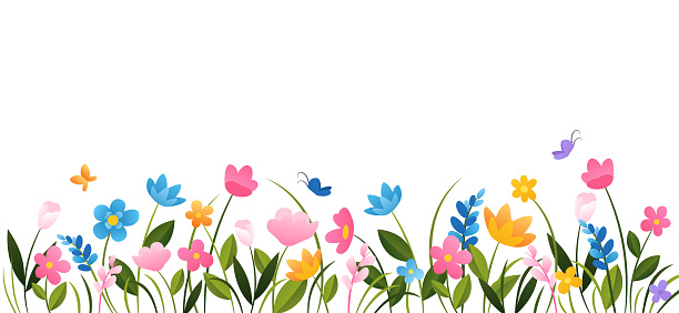 Horizontal cartoon banner with gorgeous multicolored blooming flowers, butterflies and leaves border. Spring or summer botanical flat vector illustration on white background with empty space.
