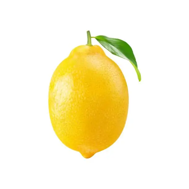 Vector illustration of Realistic ripe lemon citrus fruit with green leaf