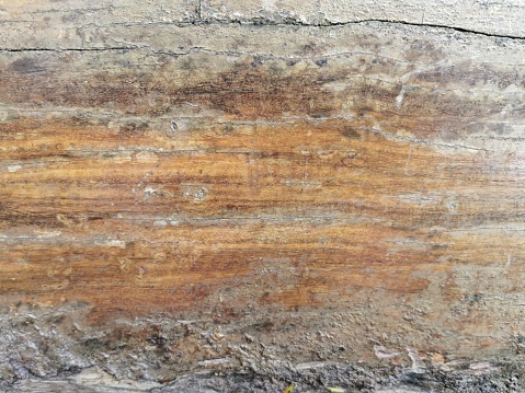 close view of vintage wood texture.