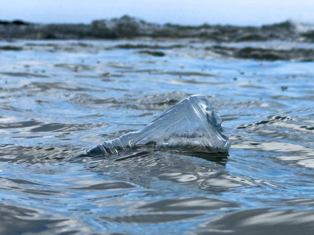 Plastic Bottle Waste floating in the Ocean close-up