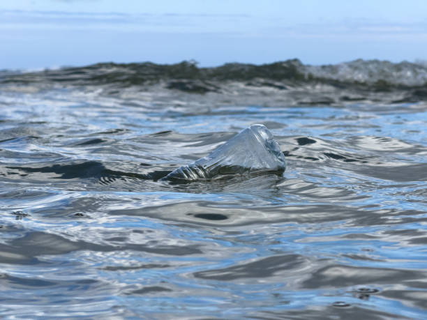 istock Plastic Bottle Waste floating in the Ocean close-up in middle of image 1929885273