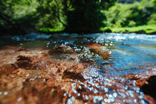 Mountain stream with clean pure water, front focus stock photo