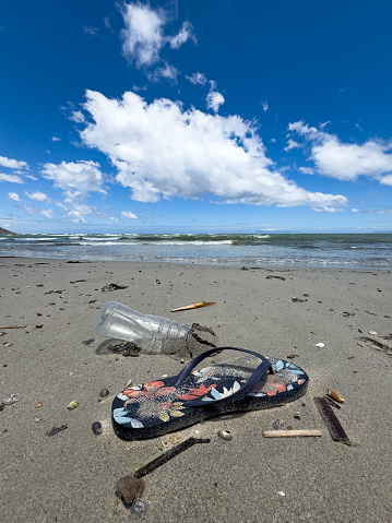 Abandoned Flip flop shoe lying next to empty plastic water bottle on the beach