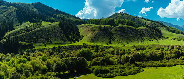 Picturesque panoramic landscape of mountain valley in summer