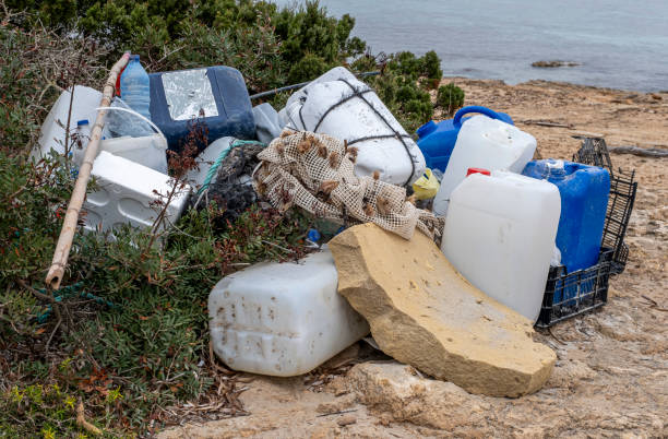 10,000+ Free Great Pacific Garbage Patch & Pumpkin Patch Images - Pixabay