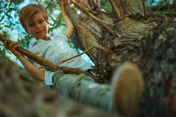 istock Portrait of beautiful boy playing on tree 1929888848