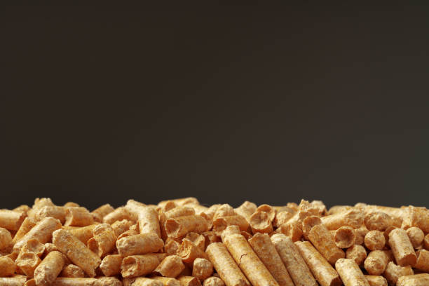 istock Wood pellets biofuel pile on gray background 1929894434