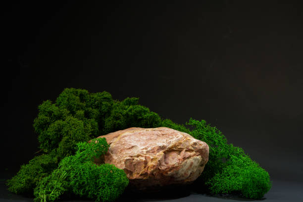 istock Stones decorated with green moss against black background 1929894455
