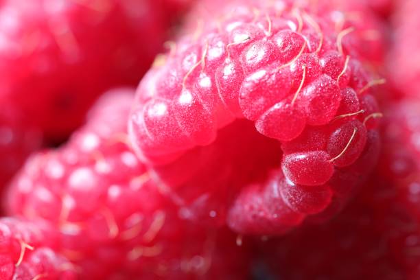 istock Tasty fresh ripe raspberries as background, macro view 1929923904