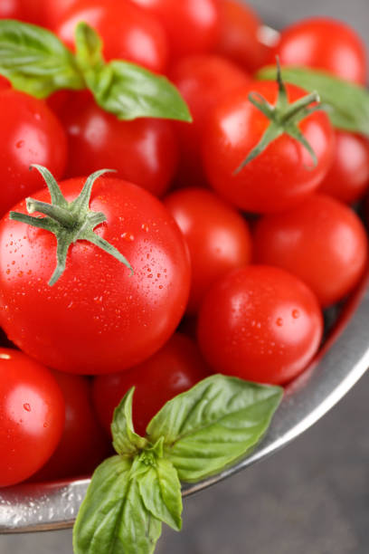 istock Fresh ripe tomatoes with water drops and basil leaves on grey table, closeup 1929931661