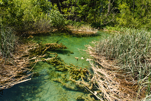 A mountain stream flows in the center of the Greek town of Livadia near the remains of an old watermill with a rusty wheel.